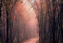 开云app-关于马德里竞技训练开放日，赛后复出首秀引欢呼，意甲在即，心理建设被强调的信息-开云app