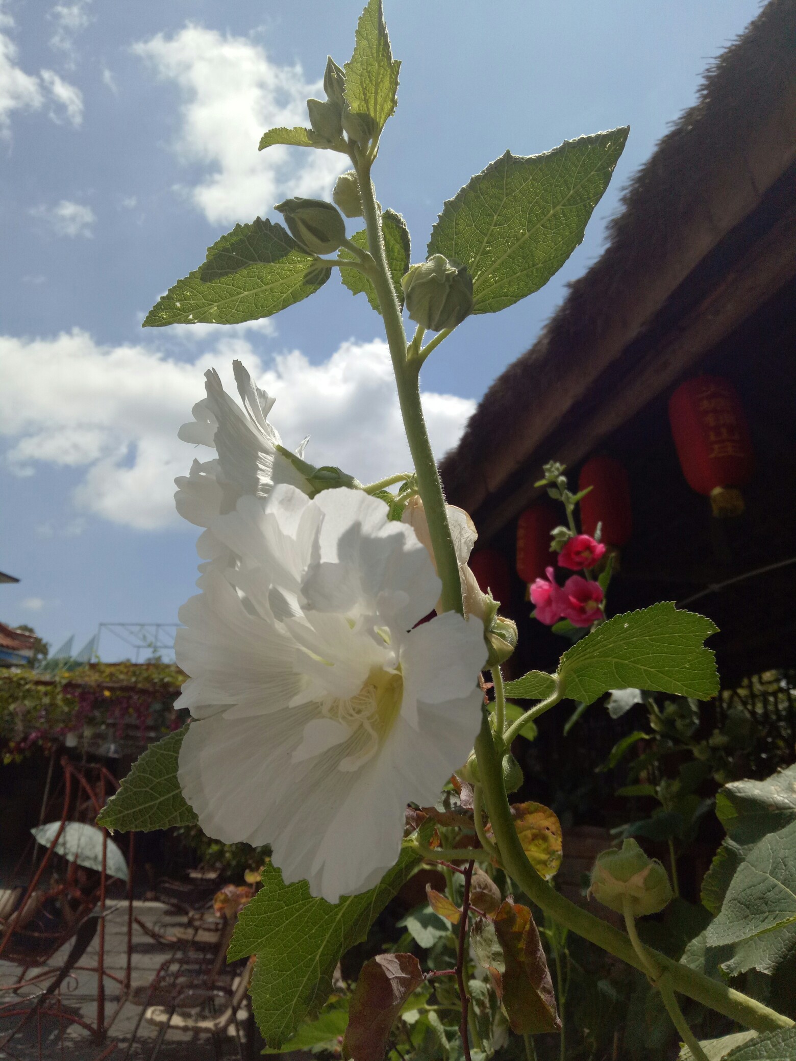 祰 咄t的简单介绍 祰 咄t的简单介绍